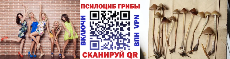 Псилоцибиновые грибы GOLDEN TEACHER  Иноземцево 
